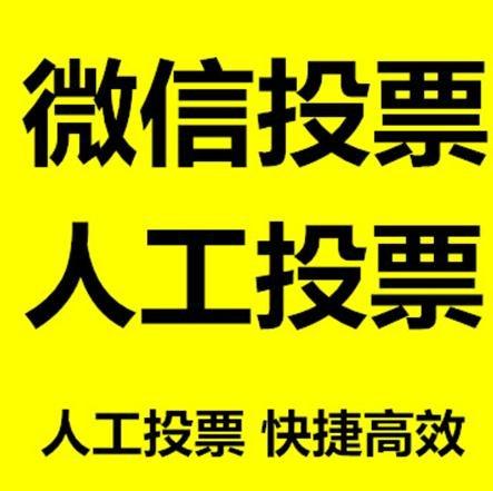 锦州市投票活动拉票能被查出来吗？如何操作能不被发现？